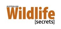 Australian Wildlife Secrets